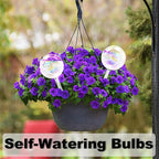 Pynqdfu 4 Pcs Plant Watering Globes,Rainbow Gradient Glass Watering Devices,Self Watering Planter Insert Plant Accessories for Indoor,Outdoor,Flowerpot,Hanging Plants,Home Garden,8.7" L×2.8" D