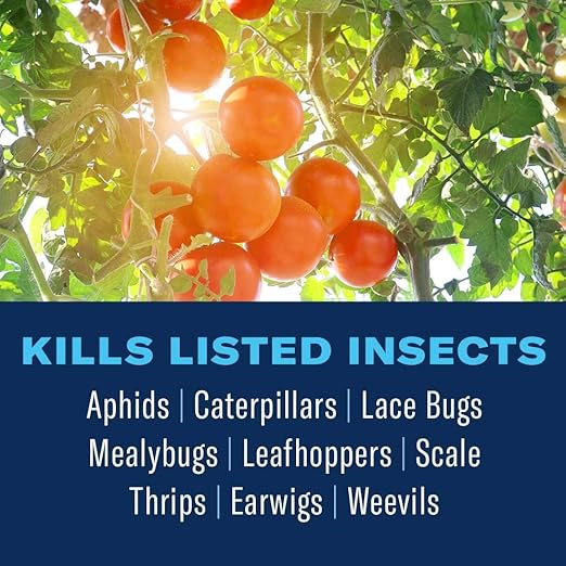BioAdvanced Organics Brand Tomato, Vegetable & Fruit Plant Bug Spray, Ready-to-Use, 24 oz