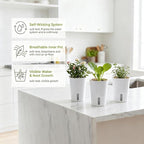 8 Pack 4" Mini Self Watering Pots for Indoor Plants, Small Clear Plastic Planters, Plant Watering Cups with Level Indicator Vents & Drainage Holes, Wick, for Seedlings, Cuttings, Herbs (8, 3 Inch)
