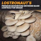100PCS Mushroom Planting Kit - 8"5"20" Thickened Growing Bags, 6 Mil Thick Durable, Tear Resistant, 0.2 Micron Porosity Resistant High Pressure Spawning Bags
