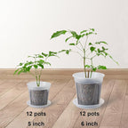 24 pcs 6/5 inch Clear Nursery pots for Plants Saucers,5/6 inch Clear Heavy pots with Side Vents for Reporting Orchids,Aroid,Monstera, Indoor & Outdoor use