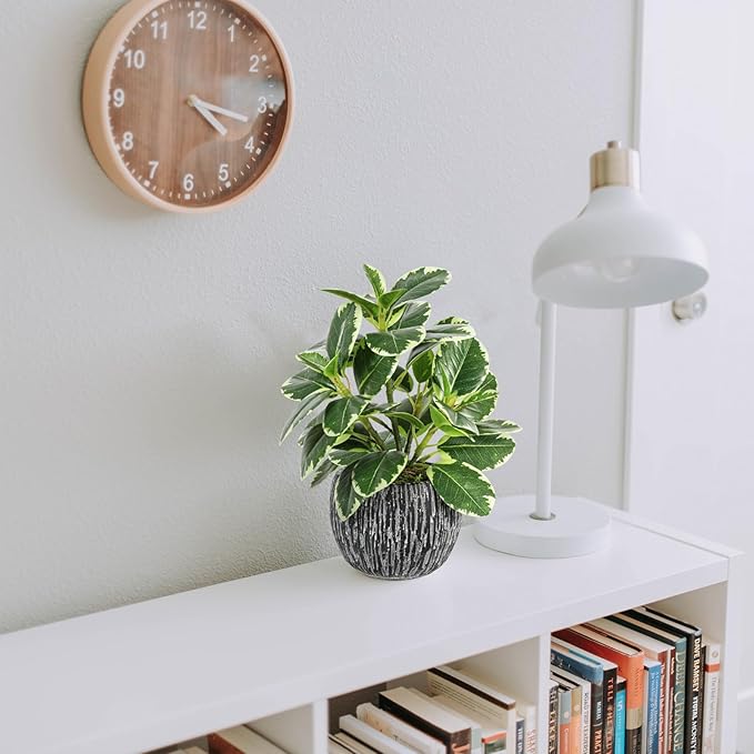 Artificial Plants Indoor Outdoor, Faux Variegated Oak Leaf Plant, Fake Potted Plants Artificial Decor for Coffee Table Desk Shelf, Faux Plants Indoor for Living Room Bathroom Bedroom Entryway Office
