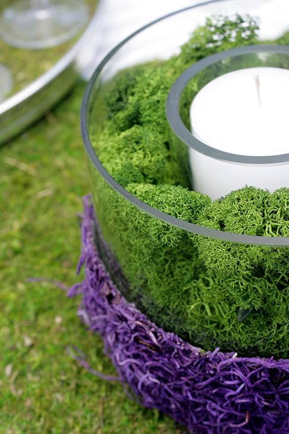 SuperMoss (21703) Reindeer Moss Preserved, Forest Green, 2oz