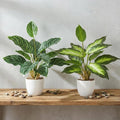 2 Pack Artificial Potted Plants, 16" Fake Plants Indoor in White Pots for Home Bathroom, Office Desk, Shelf - Realistic Faux Greenery Desk for Living Room, Kitchen, Farmhouse Decor