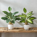 2 Pack Artificial Potted Plants, 16" Fake Plants Indoor in White Pots for Home Bathroom, Office Desk, Shelf - Realistic Faux Greenery Desk for Living Room, Kitchen, Farmhouse Decor