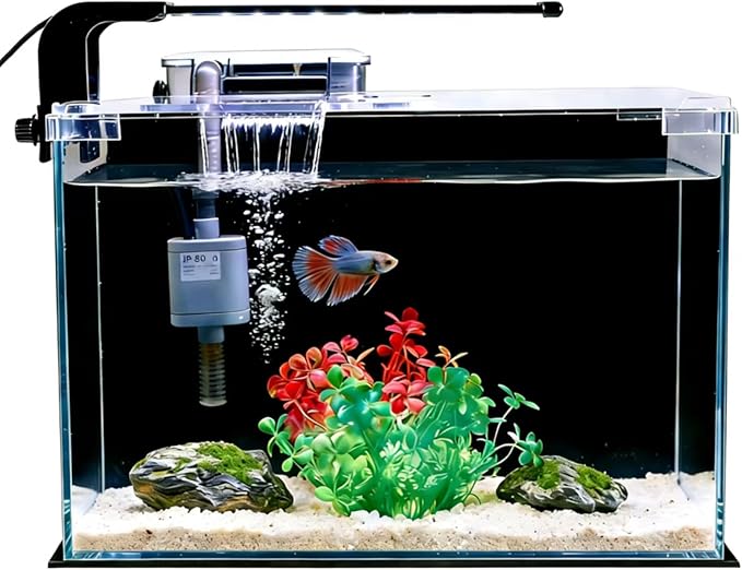 FS&AQ 2.5 Gallon Betta Fish Tank with Filter Light and Lid Small Aquarium Starter Kit Perfect for Desktops Offices or Beginners