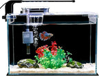 FS&AQ 2.5 Gallon Betta Fish Tank with Filter Light and Lid Small Aquarium Starter Kit Perfect for Desktops Offices or Beginners