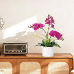 Garvee Real Touch Silk Phalaenopsis Orchid Artificial Flowers - 3 Stems Faux Orchid Bough with Vase, Lifelike Large Fake Flowers in Pot for Home Decor Living Room Bedroom Office Tabletop