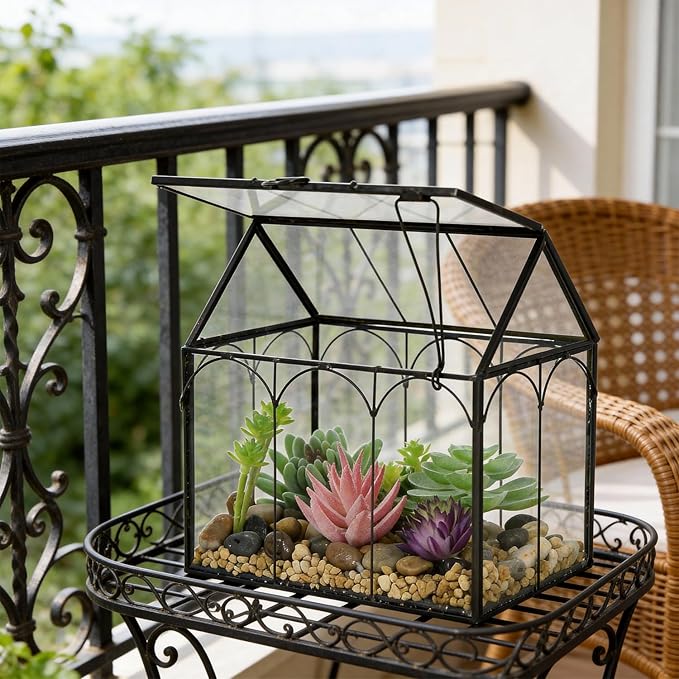 Ferrisland Glass Plant Terrarium Container Wardian Case Indoor Small Succulent Terrarium Planter W/Door for Tabletop Decor DIY (6" L x 4.3" W x 6.3" H)