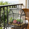 Ferrisland Glass Plant Terrarium Container Wardian Case Indoor Small Succulent Terrarium Planter W/Door for Tabletop Decor DIY (6" L x 4.3" W x 6.3" H)