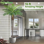 10ft Tall Artificial Phoenix Palm Tree for Outdoor Indoor Decor, Large Faux Coconut Silk Palm Tree Tropical Fake Tree Perfect for Outside Patio Poolside Home Office Decor (Set of 2)