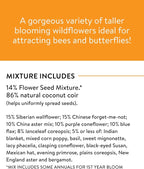 Burpee Wildflower 25,000 Bulk, 1 Bag, 18 Varieties of Non-GMO Flower Seeds Pollinator Garden, Pollinator Mix