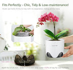 6 inch Orchid Pots with Holes for Repotting with Excellent Airflow, Set of 1, Double Layer Plastic Imitate Ceramic Orchid Planter, Clear Orchid Pot Match Decorative Orchid Container