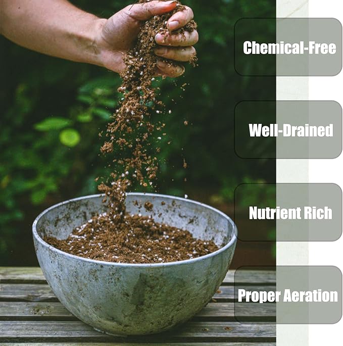 Doter Organic Potting Soil Mix for All Indoor & Outdoor Small Containers Including Herbs, Vegetables, and Flowers 2 qt