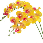 Htmeing 38 Inch Artificial Phalaenopsis Flowers Branches Real Touch (Not Silk) Orchids Flowers for Home Office Wedding Decoration,Pack of 2 (P-Stripe)