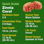 HOME GROWN Coral Zinnia Seeds (1g) – 600 Zinnia elegans Annual Flower Seeds for Planting Outdoors – Heat Tolerant Easy Summer Flowers to Plant – Herb Seed Companion for Pollinator Garden Beds for 2026