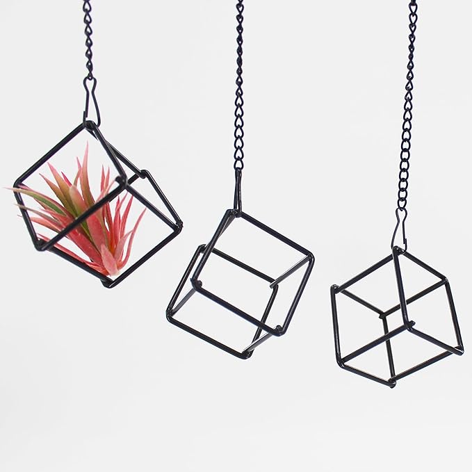 6 Pack Metal Hanging Air Plant Holders - Geometric Black Cube Tillandsia Hangers with Long Chains, Wall or Ceiling Mount for Small Air Plants, Home & Office Boho Decor (Individual or Combined Use)