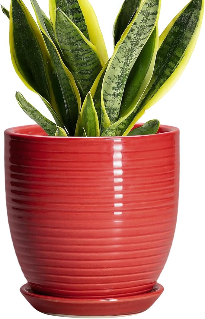 6 Inch Ceramic Plant Pot - Ceramic Pots for Plants, Round Planter with Drainage Hole and Saucer, Modern Flower Pots for Indoor Plants, Desk Home Office Decor, Plant Lover Gifts, Glossy Red