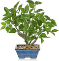Fake Plants Small Artificial Plants Indoor 15.3" Fake Potted Plants Realistic Faux House Topiary Plants with Blue Ceramic Pot for Home Office Bathroom Kitchen Farmhouse Table Centerpieces Shelf Decor