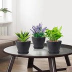 Meowell 6 inch Plastic Nursery Pots, 16 Pack Plant Pots for Small Indoor Outdoor Plants, Flower Pots with Drainage Holes and Saucers, Decorative Seedling Starter Planters for House Plants, Black