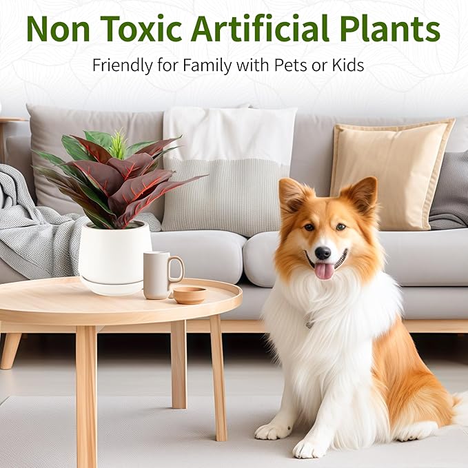 Realistic Artificial Potted Desk Plant Faux Calathea in Ceramic Pot, 8.7" Small Faux Greenery Fake Prayer Plant for Desk, Bathroom, Office, or Home Decor (Evergreen, Maintenance Free)