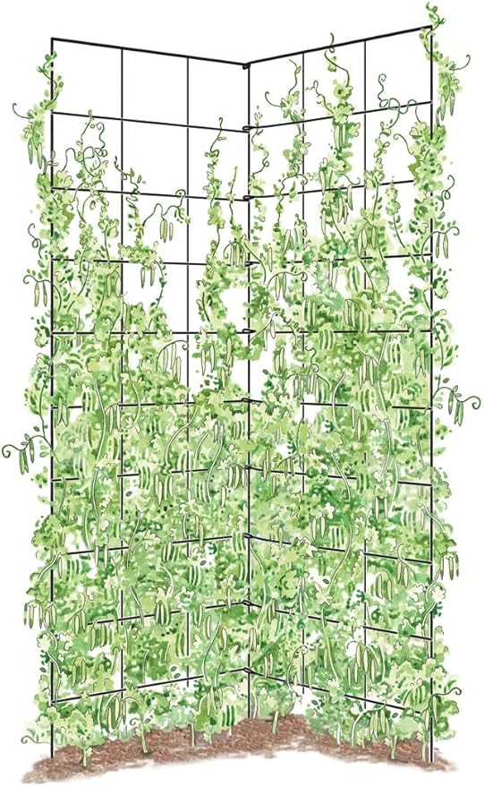 Gardener's Supply Company Two Panel Folding Trellis | Sturdy & Tall Metal Frame for Outdoor Garden Plant Support Climbing Flowers and Vegetables | 35-1/2"W x 58" H