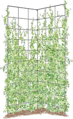 Gardener's Supply Company Two Panel Folding Trellis | Sturdy & Tall Metal Frame for Outdoor Garden Plant Support Climbing Flowers and Vegetables | 35-1/2"W x 58" H