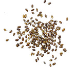 Seed Needs Rosemary Seeds for Planting - Non-GMO Heirloom & Untreated Perennial Herbs to Plant a Medicinal & Culinary Kitchen Garden Indoors or Outdoors (5 Packs)