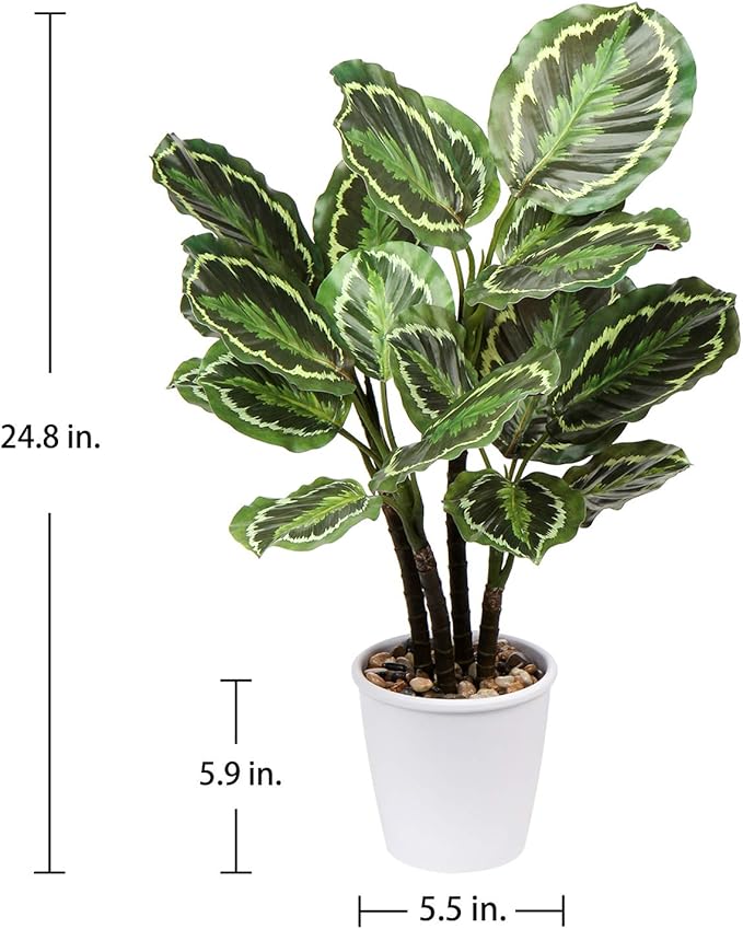 Briful 24.8" Artificial Calathea Medallion Plant Fake Plants Home Décor Tropical Faux Plant in Pot for Home Garden Office Decoration