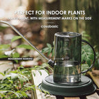 Watering Can Indoor, Small Watering Cans for House Plants, Succulents and Flowers, Long Spout, 1 Liter, with Bonus Plant Mister Spray Bottle