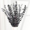 Tavkite 16 Pcs Dried Eucalyptus Stems, 17'' Natural Fresh Eucalyptus Leaves Branches Hanging for Shower, Preserved Real Purple Plant Live for Home SPA Wall Bathroom Wedding Party Vase Decor