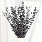 Tavkite 16 Pcs Dried Eucalyptus Stems, 17'' Natural Fresh Eucalyptus Leaves Branches Hanging for Shower, Preserved Real Purple Plant Live for Home SPA Wall Bathroom Wedding Party Vase Decor