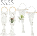 Belit 4 Pack Air Plants Holders, Wall Hanging Air Fern Stand, Macrame Plant Hanger with 4 Hooks for Home Decoration (NO Plant Included)