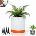 GreenShip 11.8″ Self-Watering Cylinder Planter Pot with Saucer & Plugged Drainage Hole – Dual Use: Self-Watering or Traditional Pot – Thick Yet Lightweight Clay & Resin Blend, Durable & Unbreakable