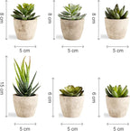 Artificial Succulents Plants Potted Set-Decorative Fake Succulent Plant Faux Plastic Plant Indoor &Outdoor for House Office Desk Bathroom Kitchen DIY Decor Gift Set of 6