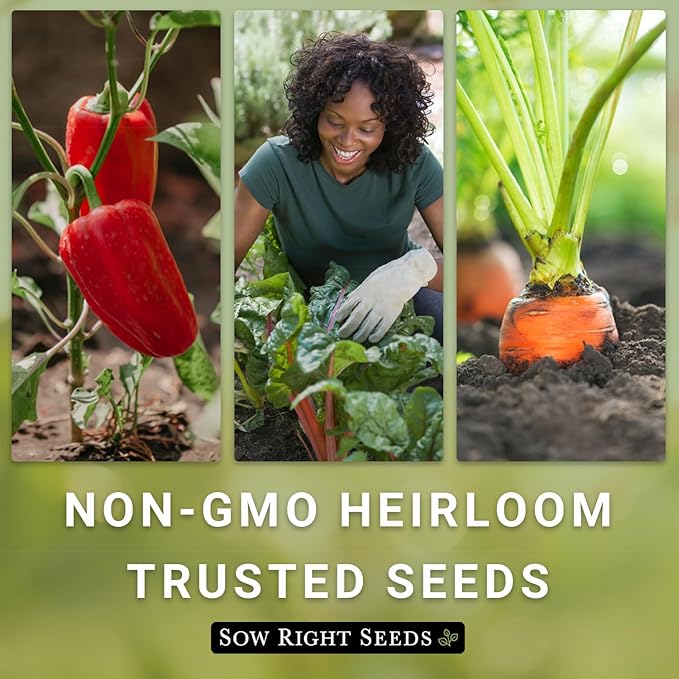 Sow Right Seeds - Black Cherry Tomato Seeds for Planting - Non-GMO Heirloom Packet with Instructions to Plant a Home Vegetable Garden - Tasty Snacking Variety, Start Indoors - Indeterminate (1)