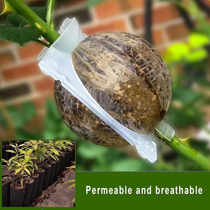 Markeny Reusable Plant Rooting Ball, Plant Propagation Root Ball Effective Invisible Propagation(15PCS), White