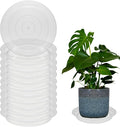 12 Pcs 6 Inch Round Plant Saucers for Less 5 Inch Pot Indoors Outdoors Plant Trays for Pots Planter Saucer Plastic Drip Tray Planter Water Tray(Clear, 6"(12pcs))