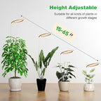 12" Grow Lights for Large Indoor Plants, Full Spectrum Tall Plant Grow Lights Indoor,Height Adjustable 15"-65",Timer Auto On/Off 3/9/12H,9 Brightness,Led Halo Grow Light for House Plants, Wood Grain