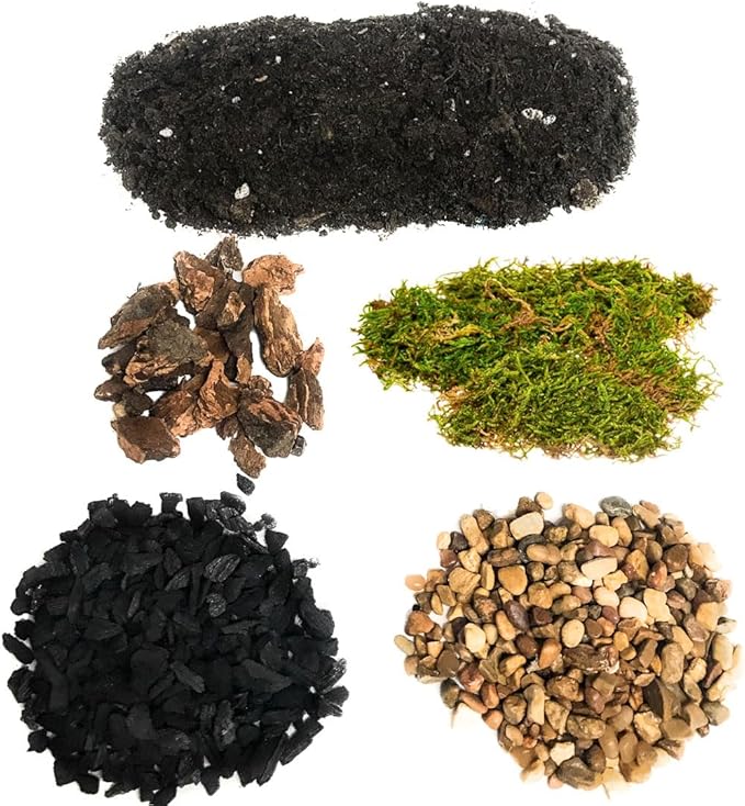 DIY Terrarium and Succulent Planter Kit | Includes Organic Soil Mix, Hoffman Charcoal, Orchid Bark, Decorative Gravel and Reindeer Moss (Small DIY Soil Kit)| Plus Free Nautical Ebook by Joseph Rains
