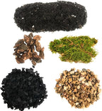 DIY Terrarium and Succulent Planter Kit | Includes Organic Soil Mix, Hoffman Charcoal, Orchid Bark, Decorative Gravel and Reindeer Moss (Small DIY Soil Kit)| Plus Free Nautical Ebook by Joseph Rains