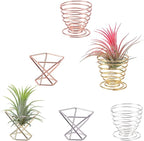 6pcs/Pack Air Plant Holders,Wire Metal Plants Stand Planter Shelves,Airplant Container Tillandsia Holder,Geometric Tabletop Decor for Home Office(Rose Gold+Gold+Silver)