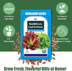 Lettuce Seed Pods Kit for Hydroponic, 12 Pods Red&Green Leaf Lettuce Grow Anything Kit for Indoor Hydroponics Growing System, Hydroponics Supplies with 12 Grow Sponges, 12 Plant Baskets