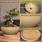 MUZHI Round Unglazed Ceramic Bonsai Pot with Bamboo Tray, Large Rough Pottery Succulent Planter with Drainage Hole 6.1 inch