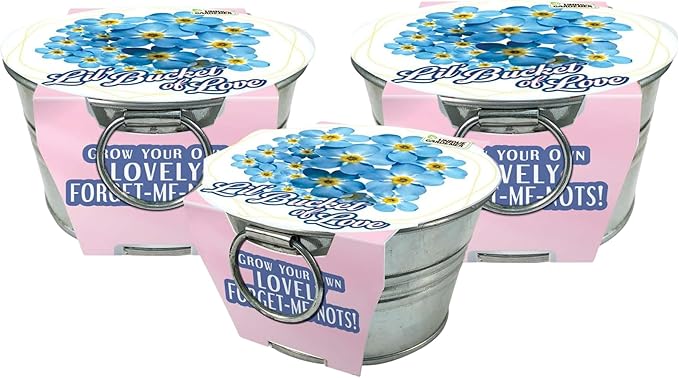 Unique Gardener Grow Your Own Forget-Me-Not Plant Seeds 3-Pack, DIY Indoor Succulents and Live Plants for Home or Garden Planting, Lil Bucket of Love