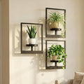 Picture Frame Wall Planters Set of 3, Modern Metal Hanging Shelves for Plants, Rustproof Wall Mount Flower Pot Holder for Indoor Outdoor, Decorative Plant Stand for Living Room Patio, Black