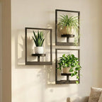 Picture Frame Wall Planters Set of 3, Modern Metal Hanging Shelves for Plants, Rustproof Wall Mount Flower Pot Holder for Indoor Outdoor, Decorative Plant Stand for Living Room Patio, Black
