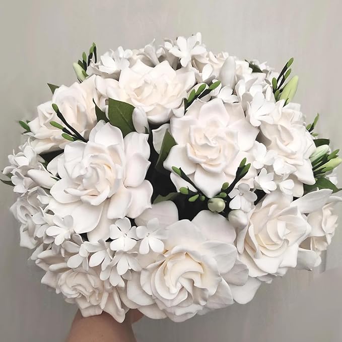 Gardenia Mystery - Gardenia Jasminoides. Hardy Evergreen Shrub with Large, Sweetly Fragrant White Flowers, Ideal for Landscaping and Container Gardening (2 Gardenia Mystery Plants in Sac)