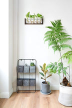 Mkono Plant Terrarium with Wooden Stand, Wall Hanging Glass Planter Desktop Plant Propagation Vase with Metal Swivel Retro Rack for Hydroponics Plants Home Office Decor (5 Bulb Vase)