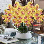 DILATATA Artificial Orchid Flowers 9 Large Heads of Real Touch Vivid Phalaenopsis Orchid Flower Stem 36'' Tall, Artificial Flowers Branches for Home Decor, Office House Decor-Yellow Orchids Flowers